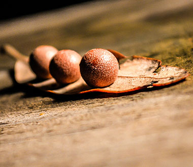 CC在线压力测试