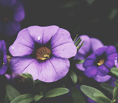 免费DDOS攻击测试工具